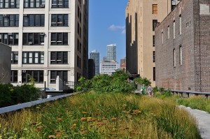 High Line by notladj from Flickr